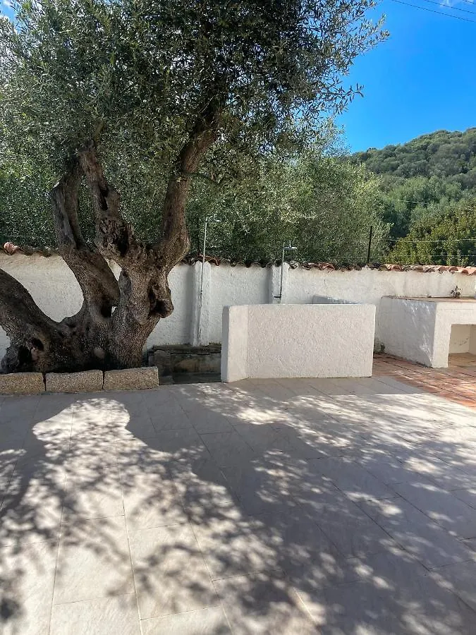 Tipica Villa Gallurese In Costa Smeralda Cugnana 0*,  Italien